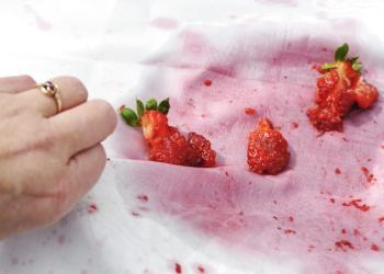 Чем отстирать ягоды: как вывести пятна с цветной и светлой одежды Как вывести ягодное пятно с цветной одежды
